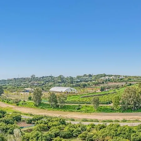 Magnificent 3 Bedroom With Pool, Terrace And Parking 에스테포나